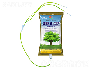 ���wݔҺˮ-���hʩ�ػ�