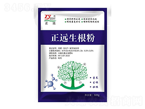 �����ۣ�500�ˣ�-���h