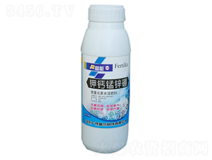 ��}�i�\��-�����Ƽ�