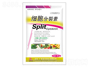 ����������-�����Ƽ� 