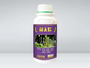 ���o(w��)ۙ��ƿ��-��������