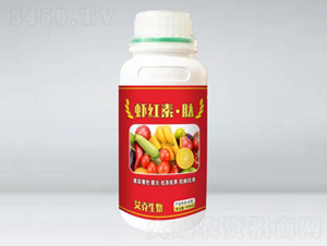 �r�t�ء��ģ�ƿ��-��������