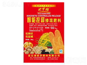 ��ጓ������-�W�_��-�����r�I