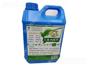 �����{�턩-����-������