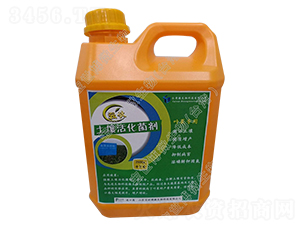 ���������-����-������