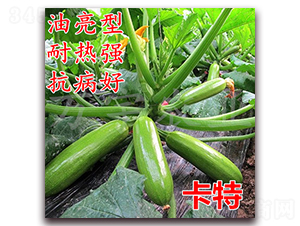 ����-�����J�N��-�f���r�I