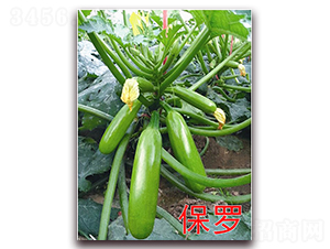 ���_-�����J�N��-�f���r�I