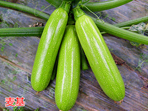 ����-�����J�N��-�f���r�I