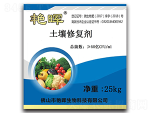 �����ޏ̈́�-�G������