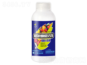 ֲ�：�����-��˲