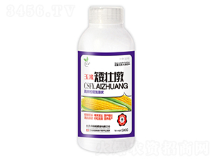 500g���װ��Ѷ�-��˲