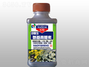 �ջ����ð���������-���t��-ِ��r��