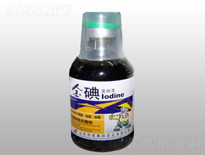 ��������-ِ��r��