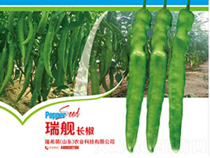 ��Ş�L��-�����N��-��ϣ��