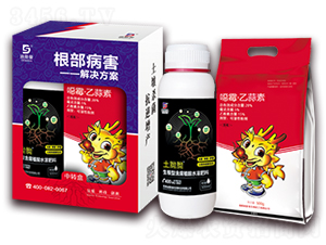 ����������Q�������D��-��˹��