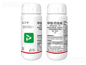 16%�׾S�����x���Ҹ���-�Ŷ�ľ-��˹��