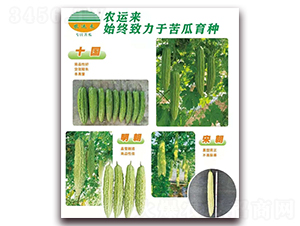十國+明朝+宋朝-苦瓜種子-農運來