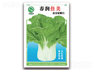 ��������-�ײ˷N��-�����N�I