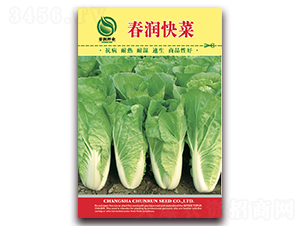 �������-�ײ˷N��-�����N�I