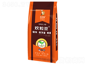 歡粒豆-綠濃農業