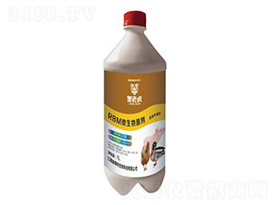 �����Bֳ��΢�������-����