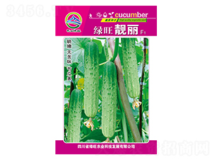 �G���n��-��ɽ�G��-�G���r�I