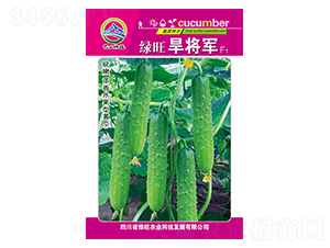 �G������܊-��ɽ�G��-�G���r�I