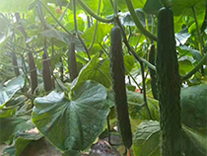 ������8̖-�S�ϷN��-���N�I