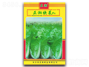 ������-�ײ˷N��-����N�I