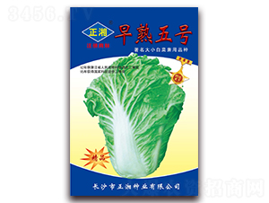 ����5̖-�ײ˷N��-����N�I