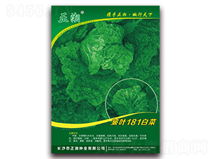 ���~181�ײ�-�ײ˷N��-����N�I