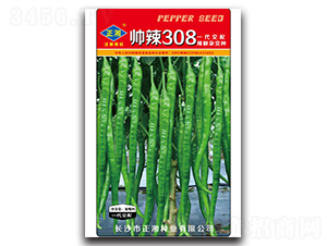 ����308���ࣩ-�����N��-����N�I