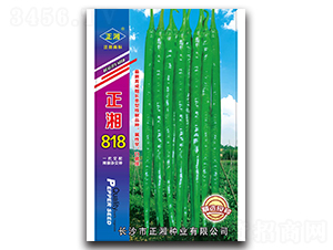 ����818-�����N��-����N�I