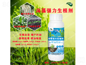 ���及��������-�W�SԴ