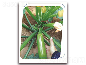 ����1528-�����J�N��-����(y��u)�r(n��ng)�I(y��)