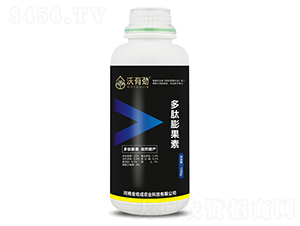 ���������-���Є�-���ճ�