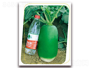 ����G�S-�}���N��-�����r�I