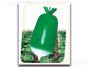 �G����-�}���N��-�����r�I