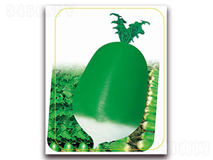 ����791-�}���N��-�����r�I