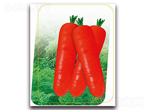 ���t�ߴ�-���}���N��-�����r�I