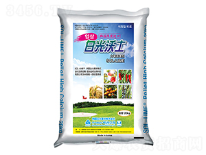 �����{�턩-�׹�����-��T����