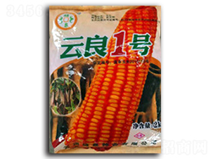 云良1號-儲泉種業