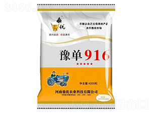 豫單916-玉米種子-鼎優農業