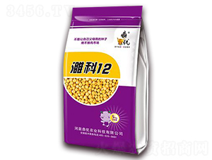 濉科12-大豆種子-鼎優農業