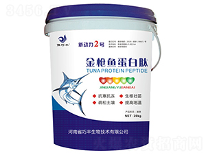 ���~������-����2̖-ԥ���S