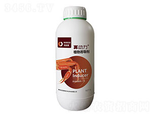 ֲ���T����-�ф���-������