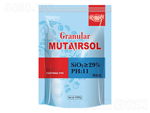 �w����-��֮���r�I