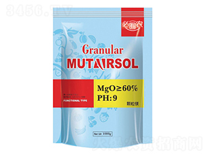 �w���V-��֮���r�I