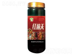 �t����-�Z���-�WȻ�r�I