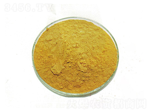 ������-����